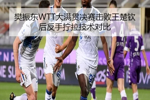樊振东WTT大满贯决赛击败王楚钦后反手拧拉技术对比